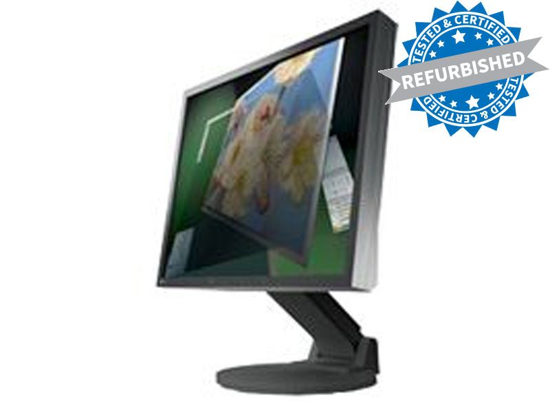 Eizo FlexScan S1921 19