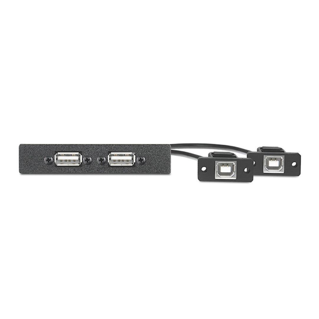 Extron Two USB A Female to Two USB B Female on Pigtails AAP 70-382-13