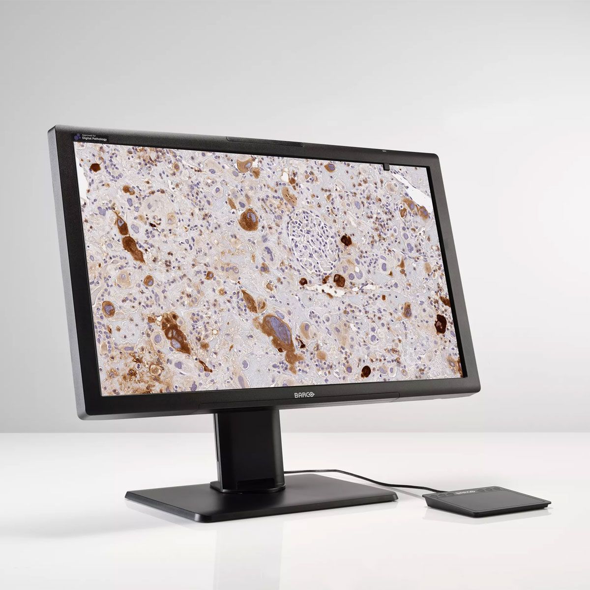 Barco MDPC-8127 8MP Digital Pathology Monitor