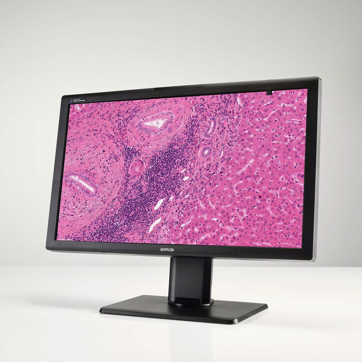Barco MDPC-8127 8MP Digital Pathology Monitor
