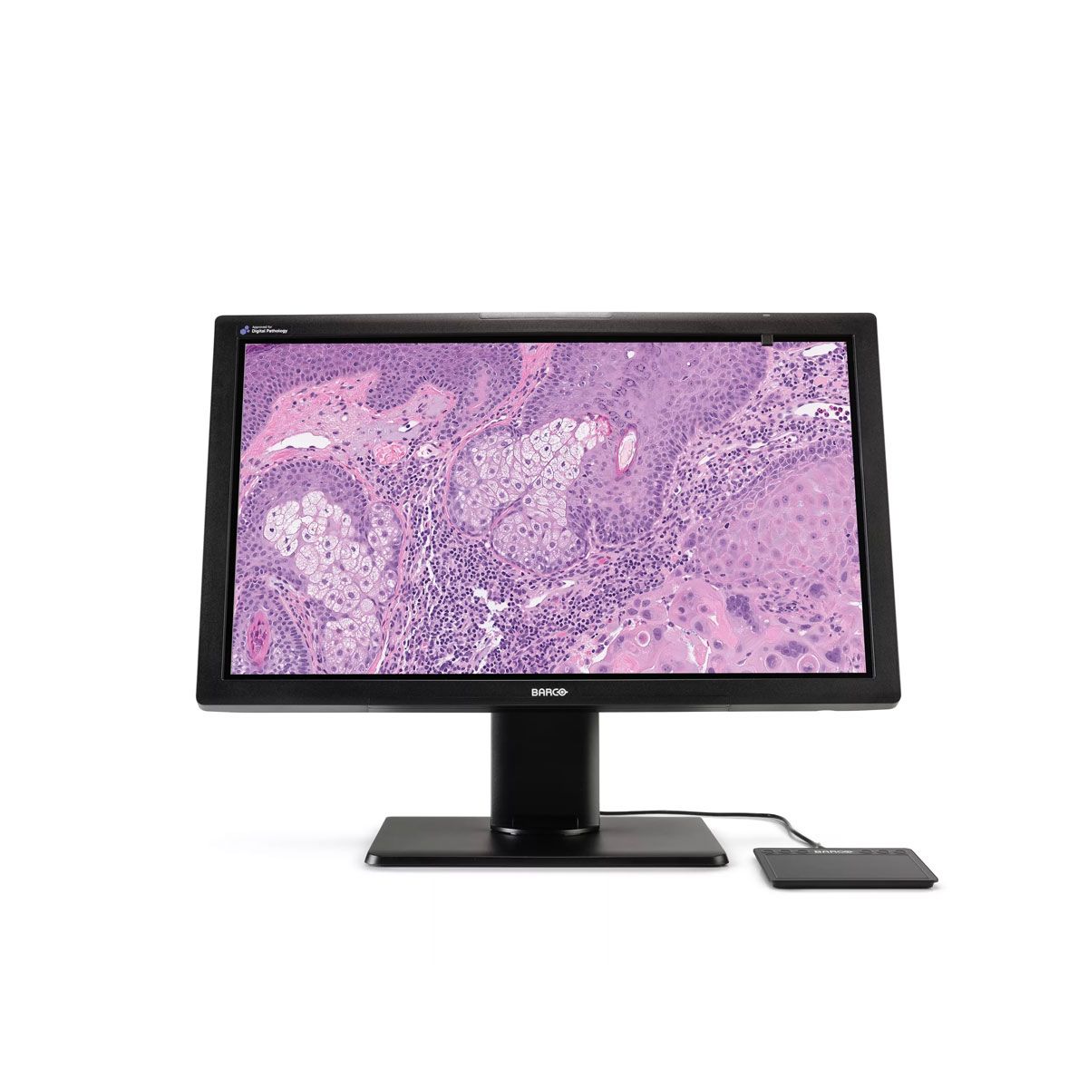 Barco MDPC-8127 8MP Digital Pathology Monitor