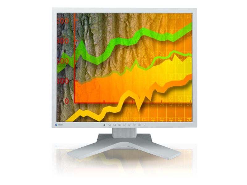 Eizo FlexScan S1903 19" SXGA LED Desktop LCD Monitor