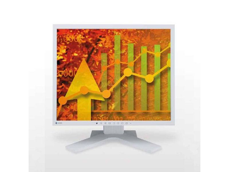Eizo FlexScan S1923 LCD Desktop Monitor