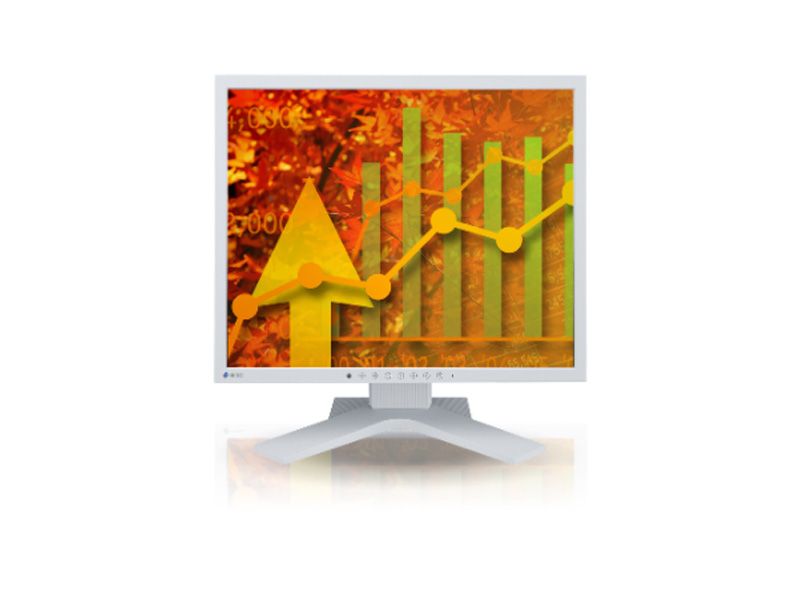 Eizo FlexScan S1933 19" Display Monitor