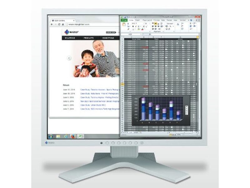 Eizo FlexScan S1934 19" SXGA Desktop LCD Monitor