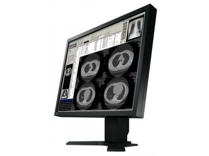 Eizo FlexScan S2100 LCD Monitor – Ampronix