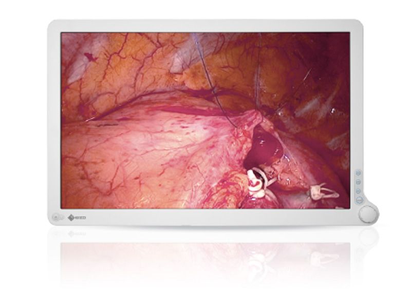 Eizo RadiForce EX240W 24" FHD Surgical LCD Monitor