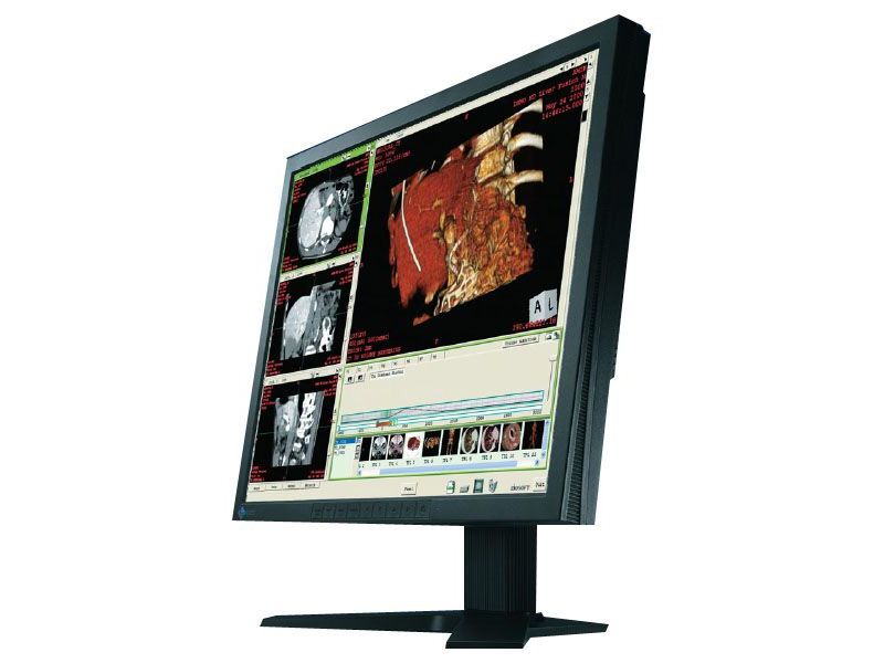Eizo RadiForce R12 Medical LCD Monitor