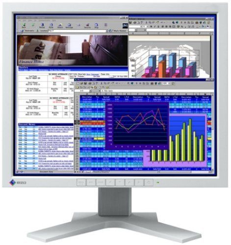 EIZO FlexScan L685 18-inch Monitor