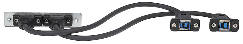 Extron Two USB A Female to Two USB B Female on Pigtails 70-1235-02