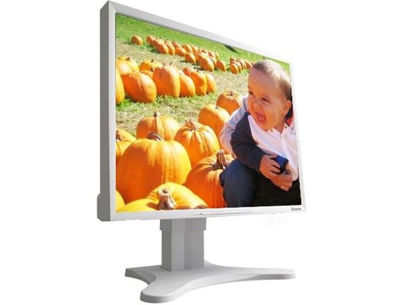 iiyama ProLite H1900 PLH1900-W1 19" SXGA Desktop LCD Monitor