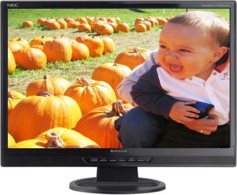 NEC LCD22WMGX-BK 22" Color-Critical Desktop LCD Monitor