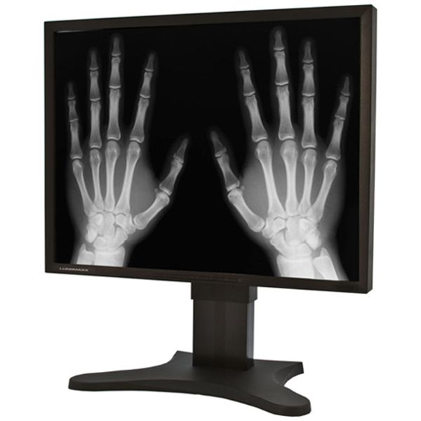 Lumimaxx LP1182I-DT 18" Grayscale Display
