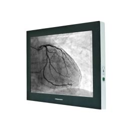 Modalixx G202MG 20" UXGA Modality Display