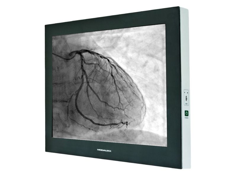 MODALIXX G202MP 20.1" Grayscale LCD Monitor