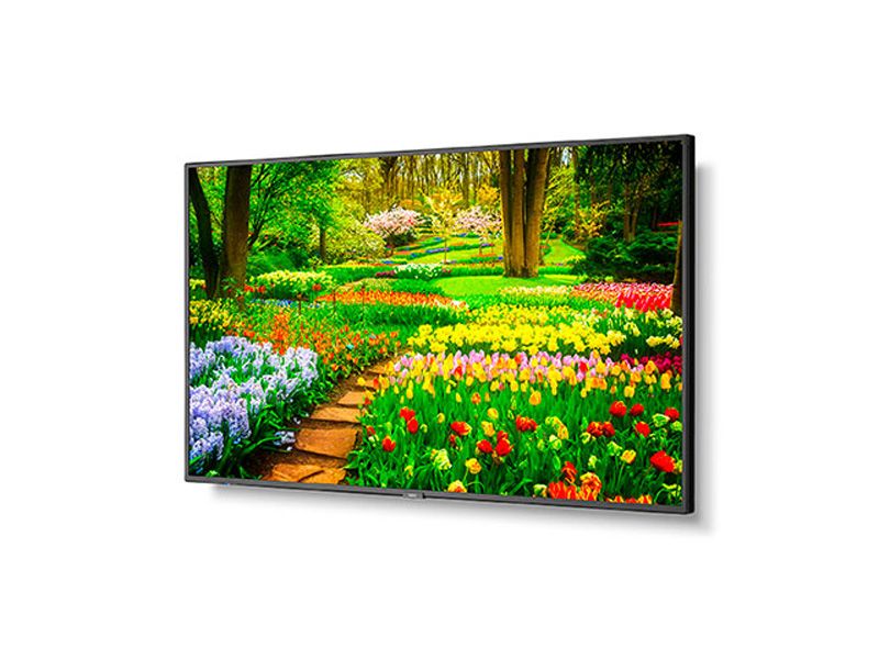 NEC M491 49" 4K UHD Professional IPS LCD Monitor