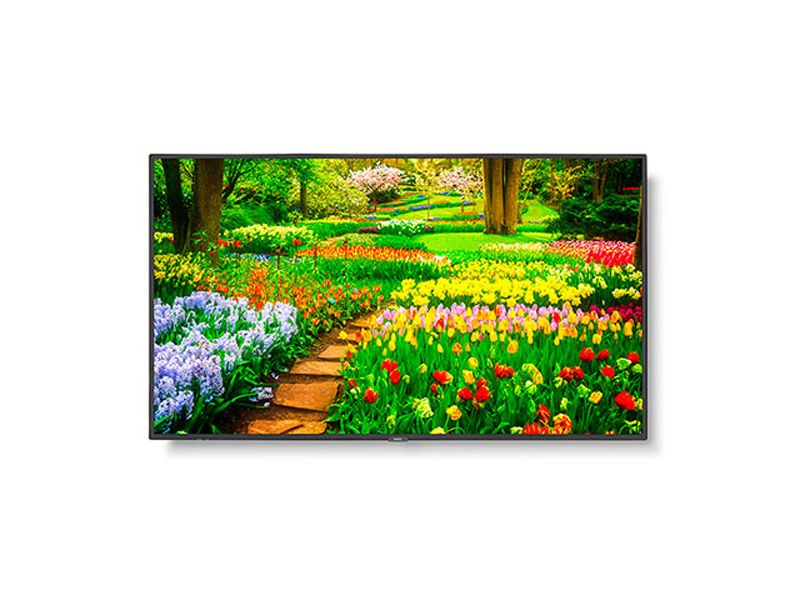 NEC M491 49" 4K UHD Professional IPS LCD Monitor