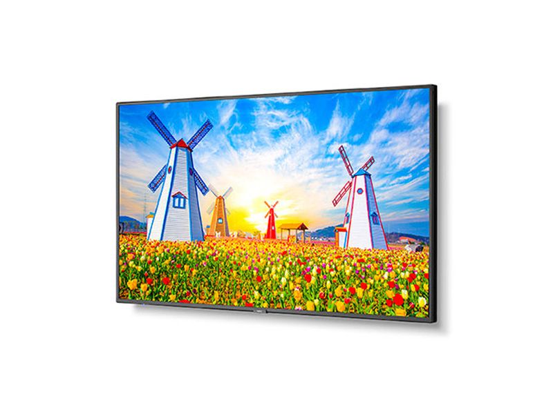 NEC M651 65" 4K UHD Professional IPS LCD Monitor
