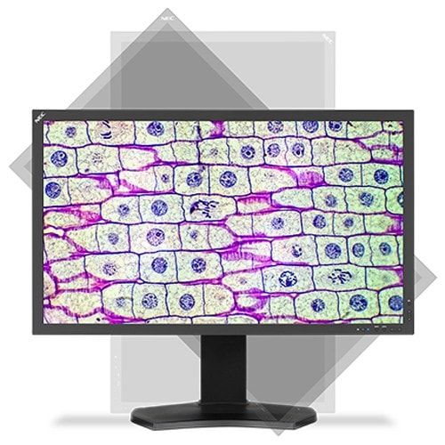 NEC MD322C8 8MP Color Medical Review Display