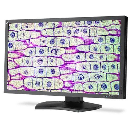 NEC MD322C8 8MP Color Medical Review Display