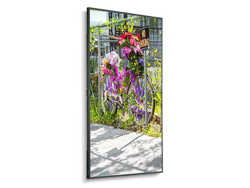 NEC C501 50" FHD Commercial Display