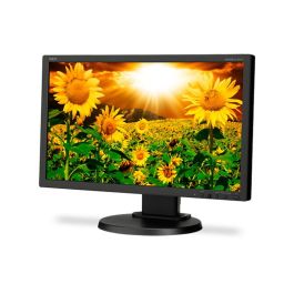 NEC E201W-BK 20" HD+ Desktop Monitor