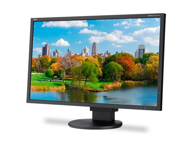 NEC EA223WM-BK 22" WSXGA+ LED-Backlit Desktop Monitor
