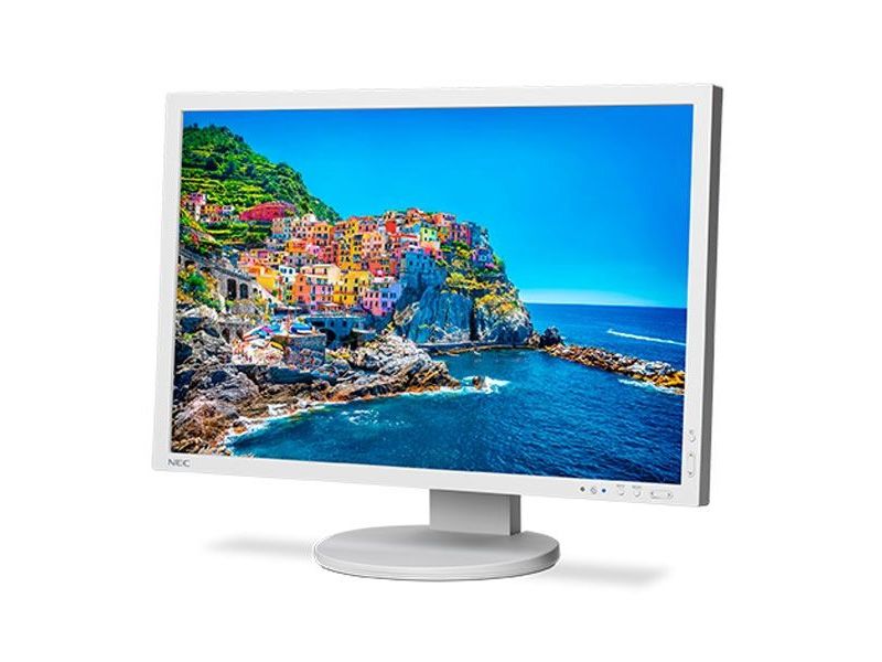 NEC PA243W 24" WUXGA Professional Desktop LCD Monitor