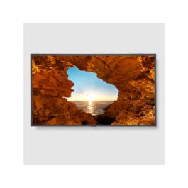 NEC V484 48" FHD Commercial-Grade Large Format Display