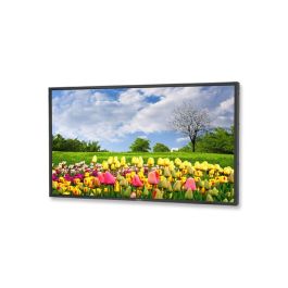 NEC X462HB 46" FHD Professional-Grade Display