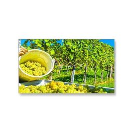 NEC X464UNV-2 46" FHD LED Professional Display
