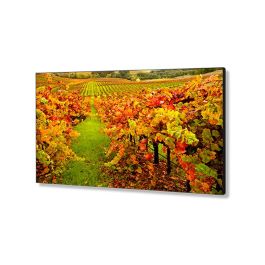 NEC X554UN 55" FHD LED-Backlit Ultra-Narrow Bezel Professional-Grade Large-Screen Display