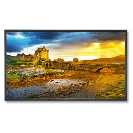 NEC X651UHD 65" 4K UHD LED Backlit Display