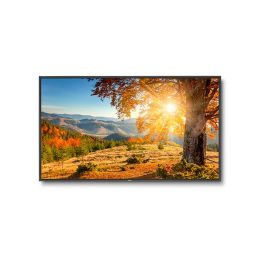 Digital Signage Displays