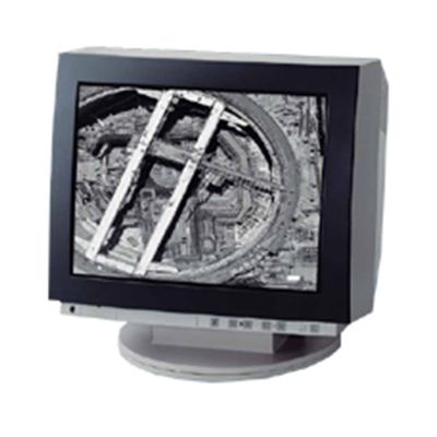 Siemens SMM 21106 LS 21" Grayscale CRT Monitor