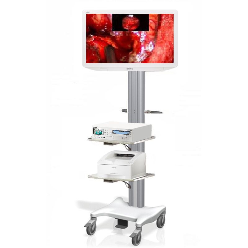 Sony 4K Laparoscopic Bundle