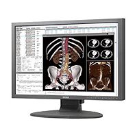 Totoku CCL240 2.3MP Clinical Review Display Monitor