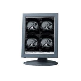 Totoku ME193 Mono 1.3MP Multi-Modality Display
