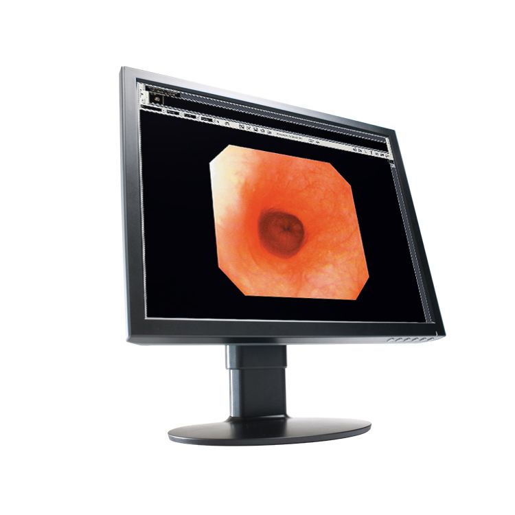 WIDE CL20 2MP Clinical Review Display Monitor