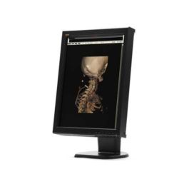 WIDE CX20p 2MP Color LED Monitor – Ampronix